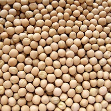 Yellow Peas