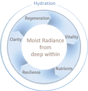 5 skin's fundamental